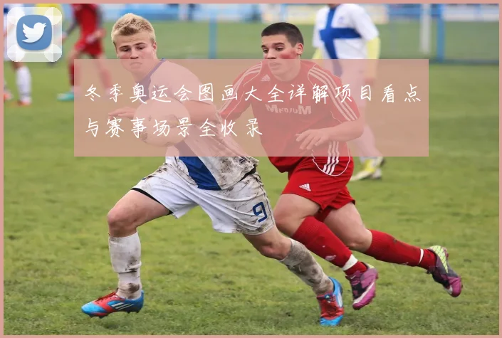 冬季奥运会图画大全详解项目看点与赛事场景全收录