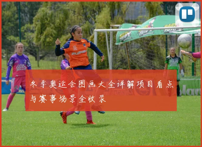 冬季奥运会图画大全详解项目看点与赛事场景全收录